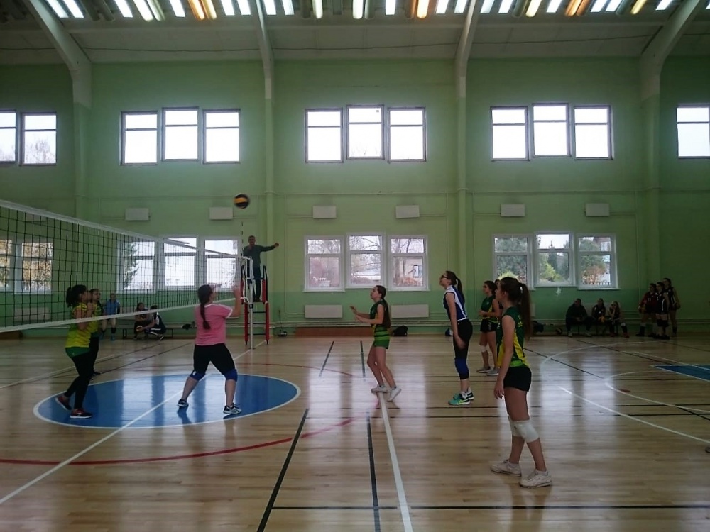 Окружные отборочные соревнования по волейболу среди девушек