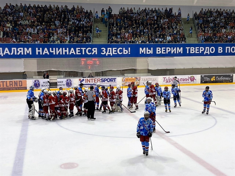 Первенство Московской области по хоккею